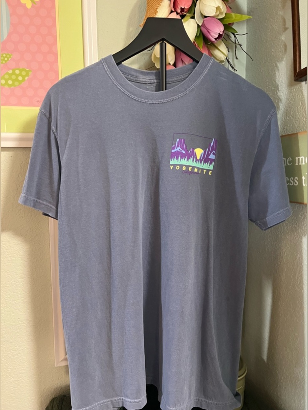 Yosemite Short-Sleeve Graphic Tee - Dusty Blue #044